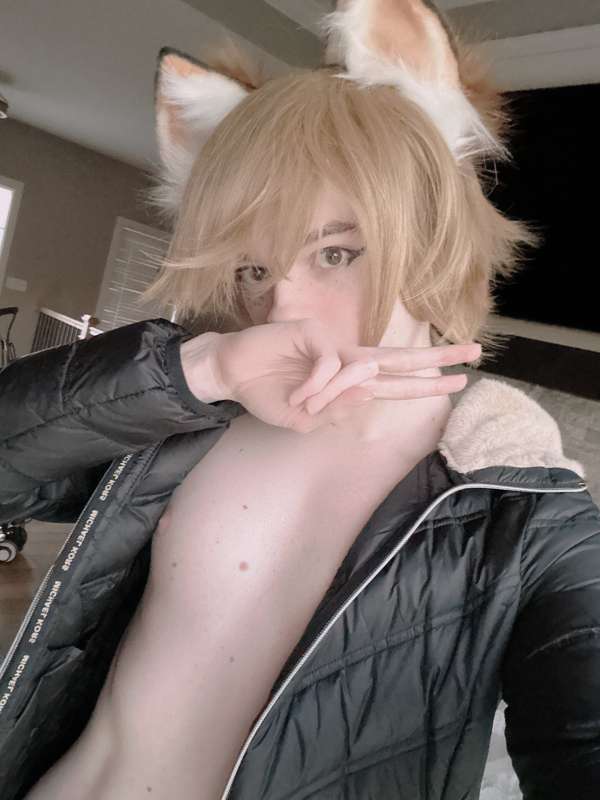 catboiaoi image #7