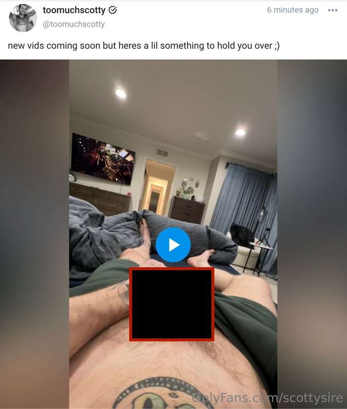 scottysire