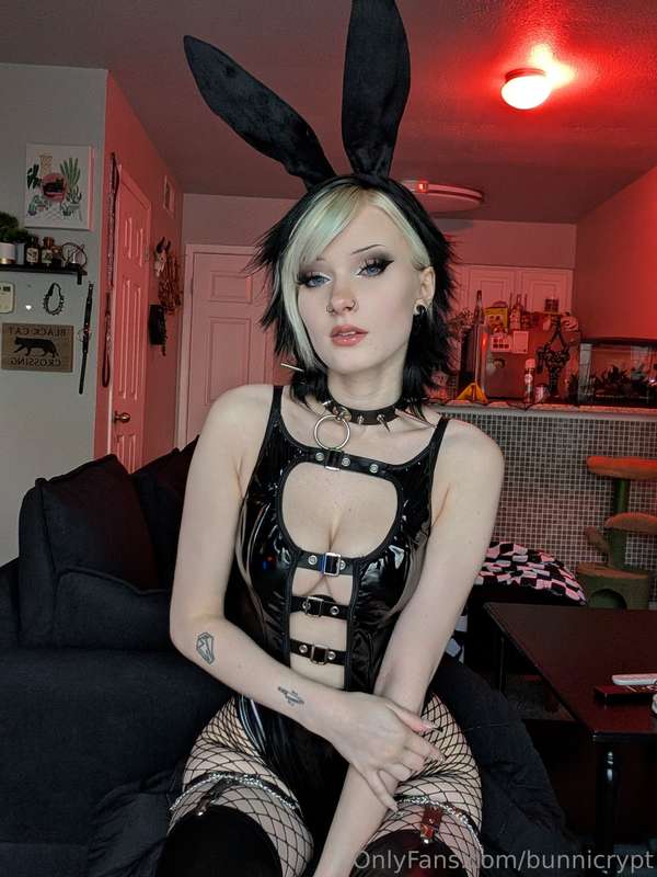 bunnicrypt image #1