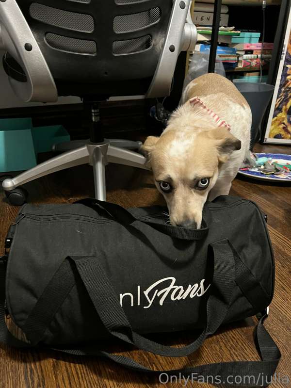 SavvyBee travels in style