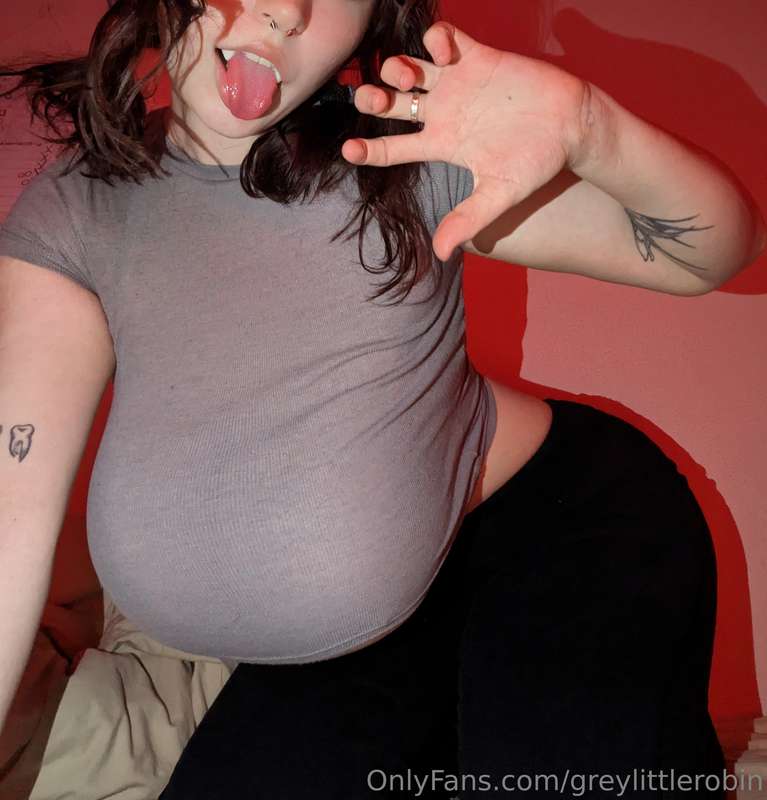 greylittlerobin