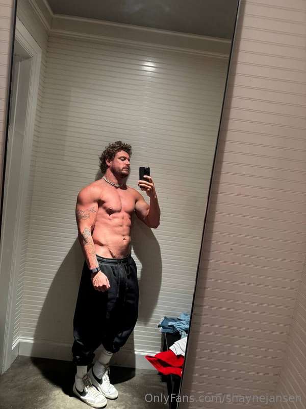 shaynejansen