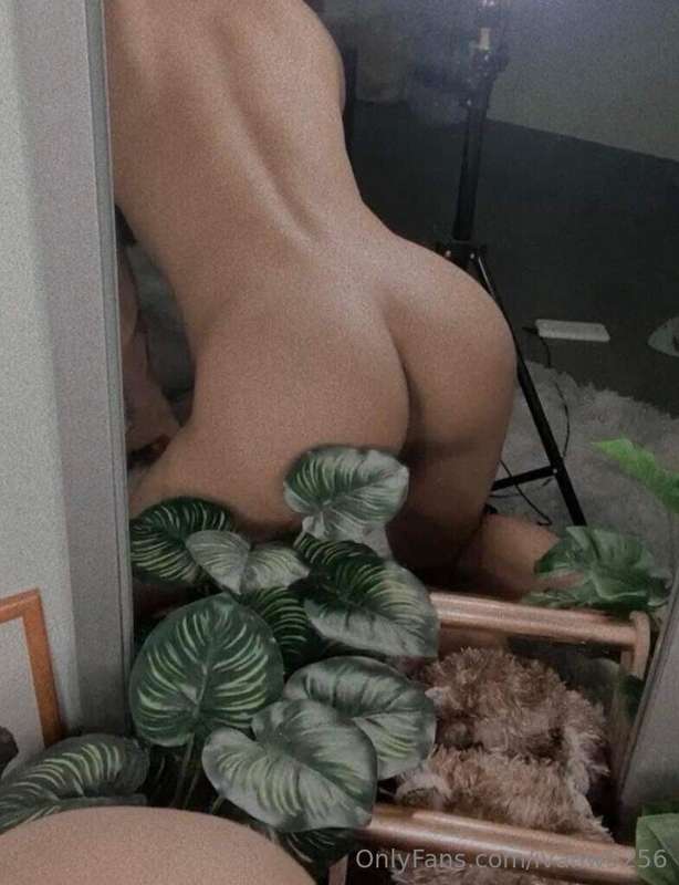 ivanw5256