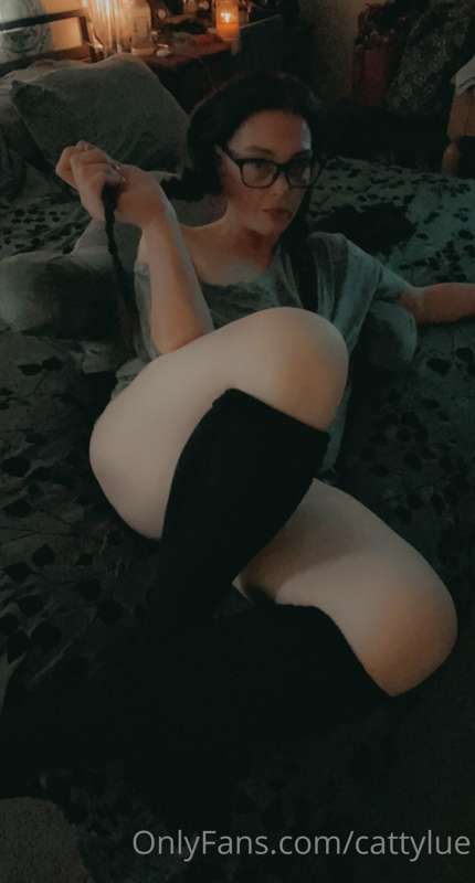 cattylue image #9