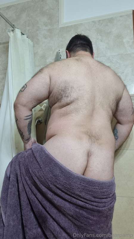 bearpamp