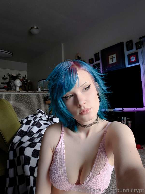 bunnicrypt image #5