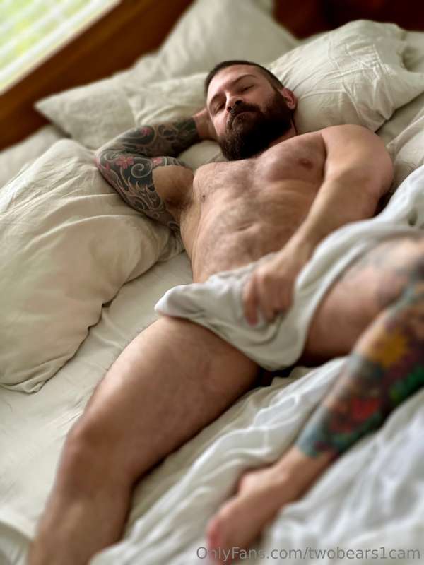 twobears1cam