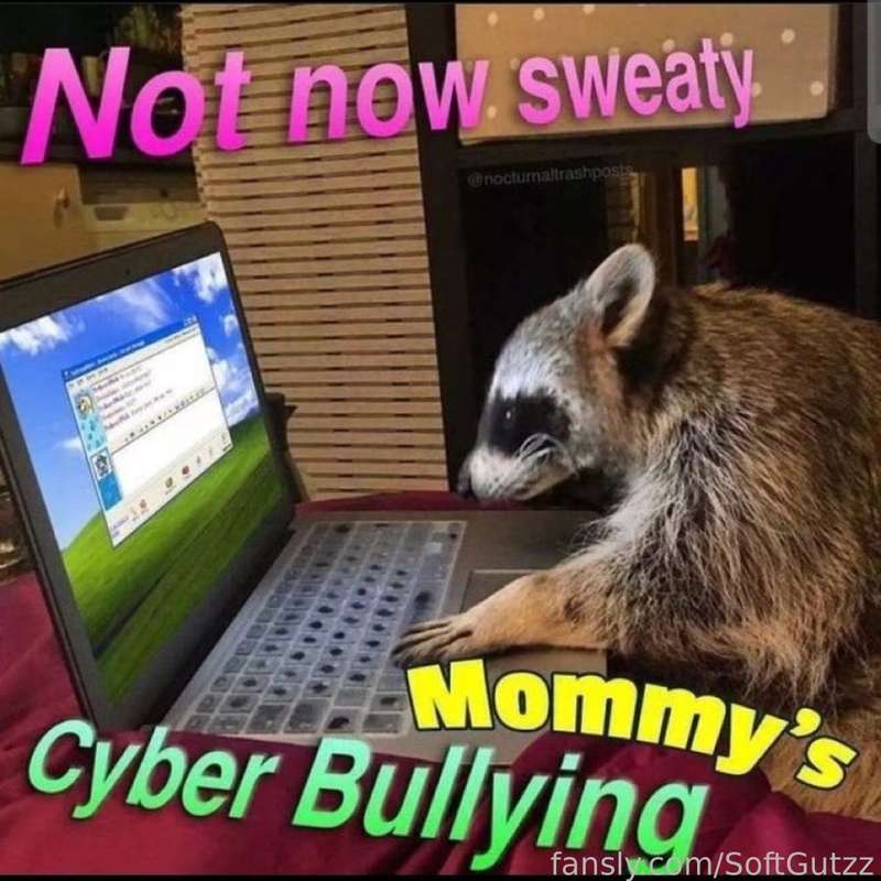 media