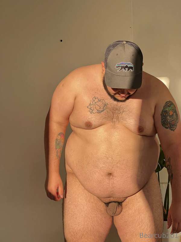 bearcub201