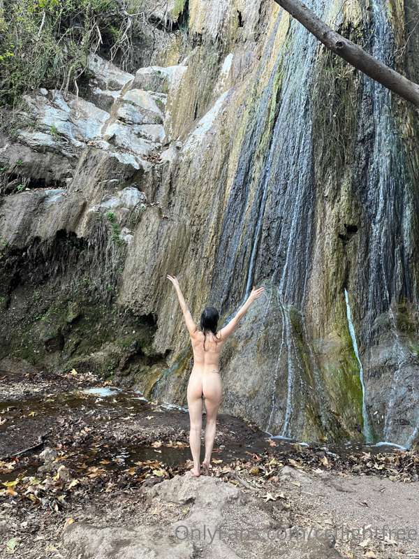 ccflightfree image #0