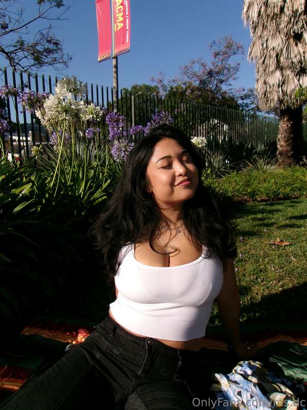 media