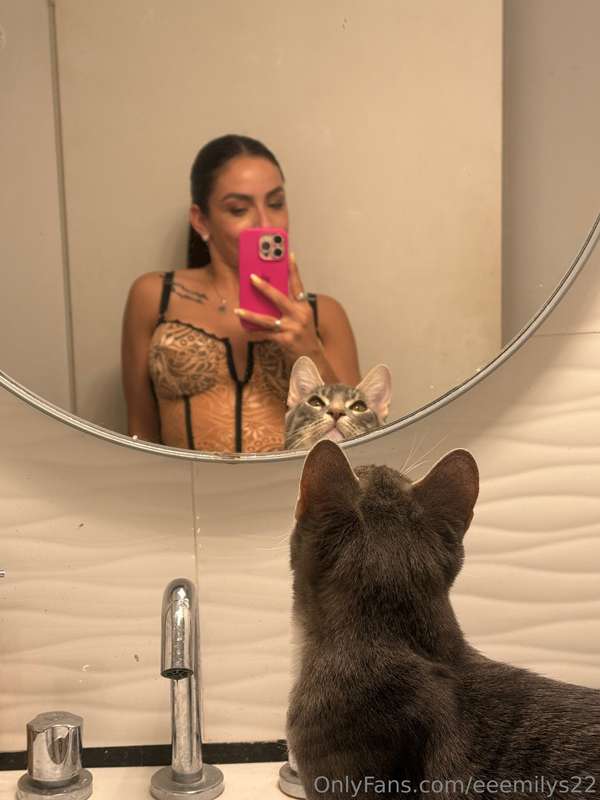 Find the cat in the photo 😜🫣 