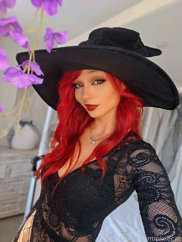 pixiecat image #4