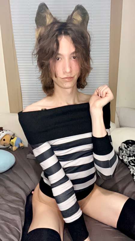 media