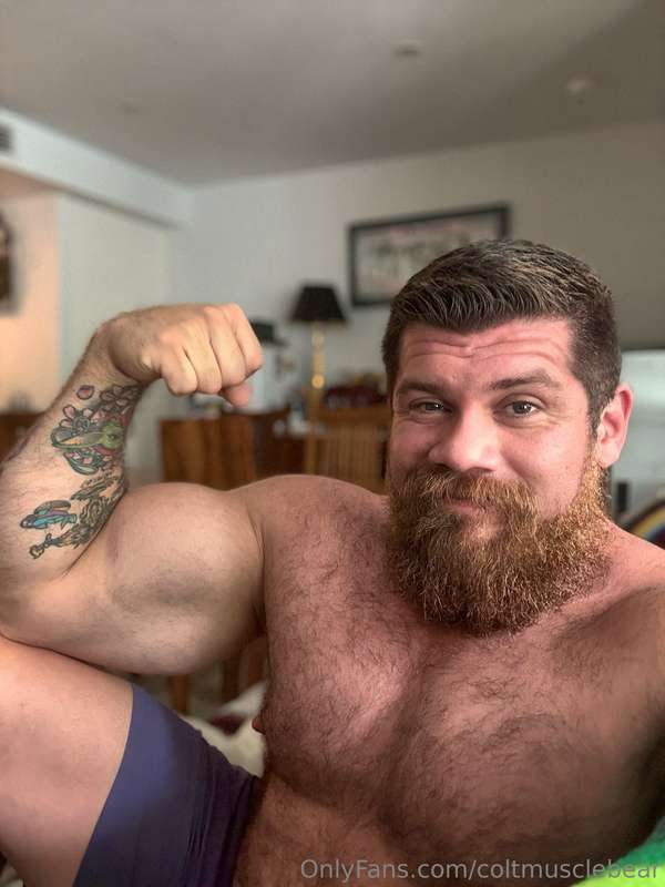 coltmusclebear
