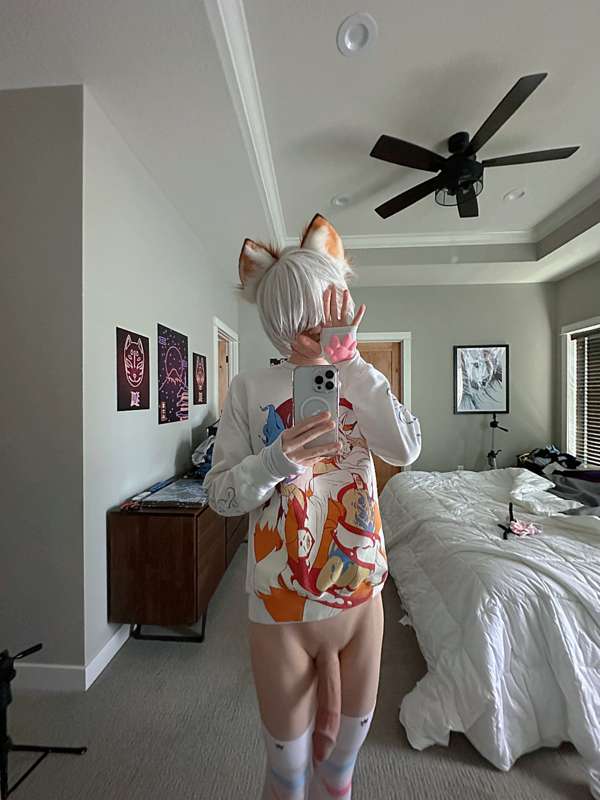 catboiaoi image #5