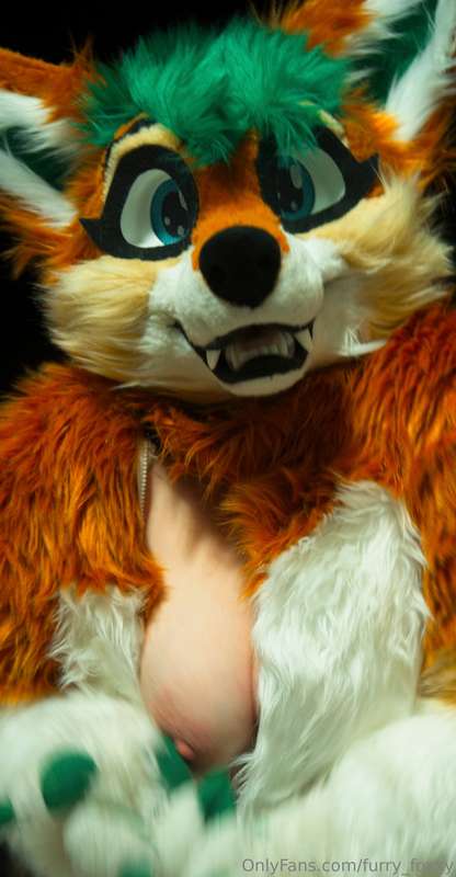 furry_foxxy