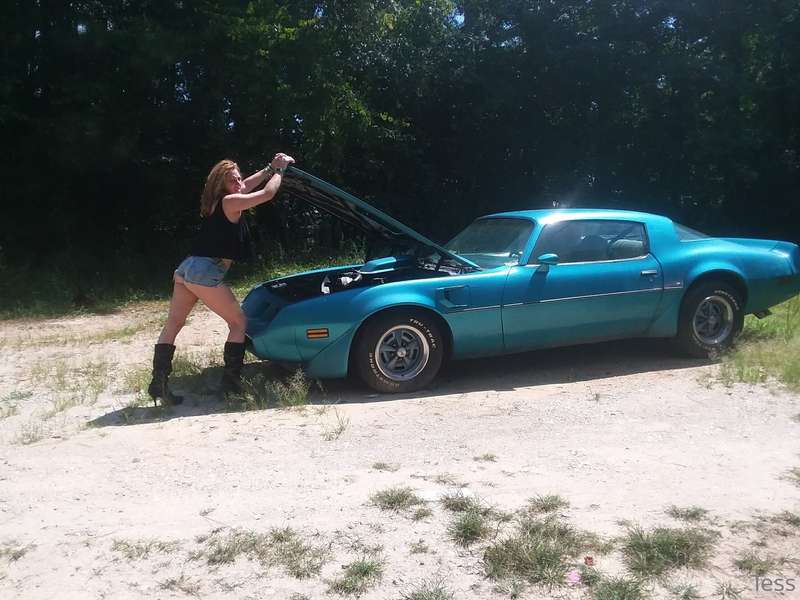 media
