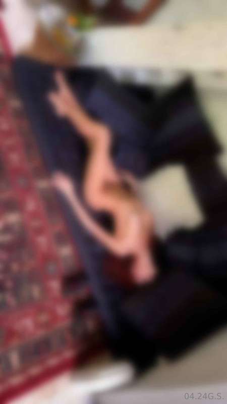 gingery.shoot image #0
