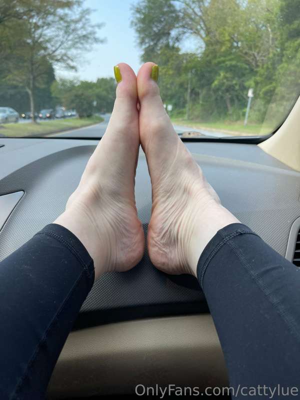 cattylue image #3