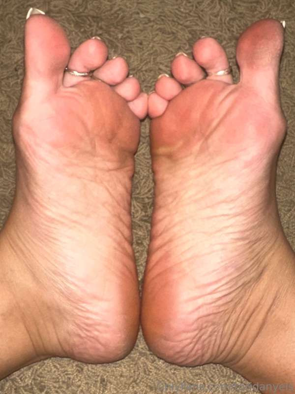 toridanyels