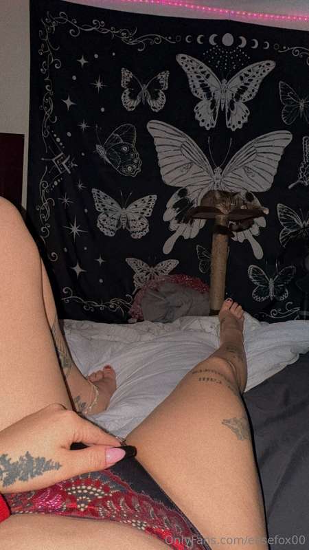 elisefox00