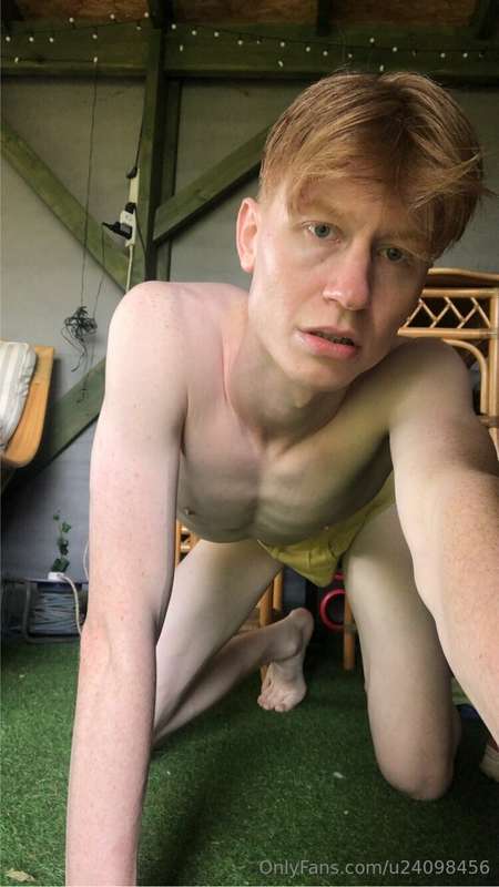 media