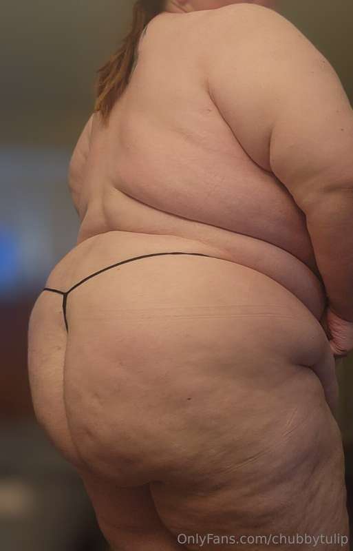chubbytulip