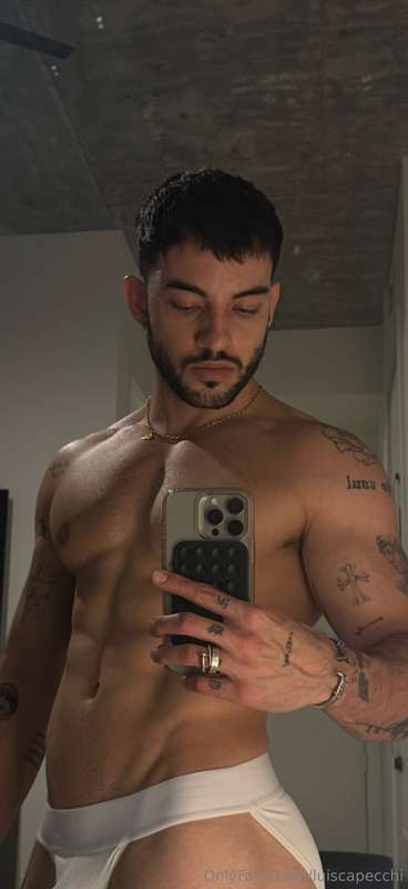 luiscapecchi