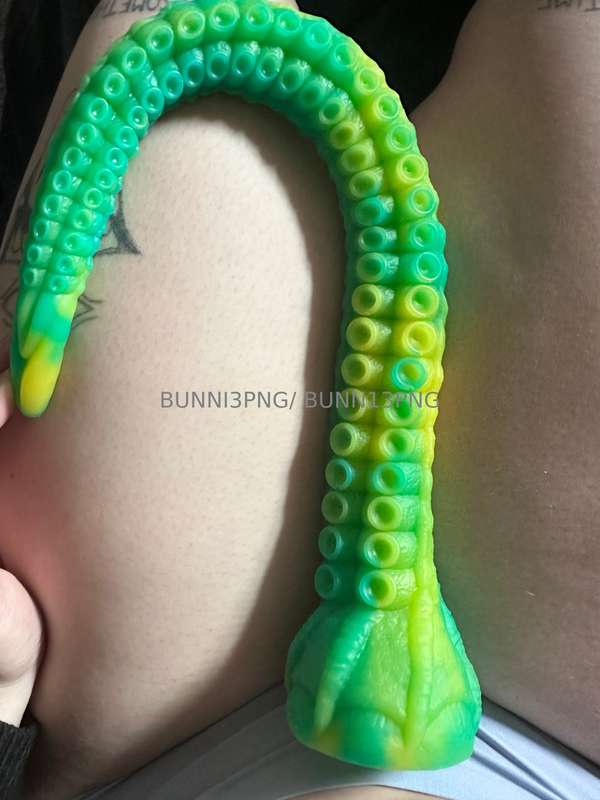 bunni3png photo