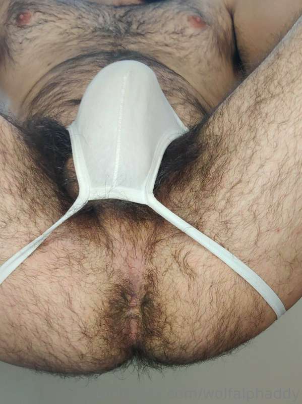 wolfalphaddy image #4