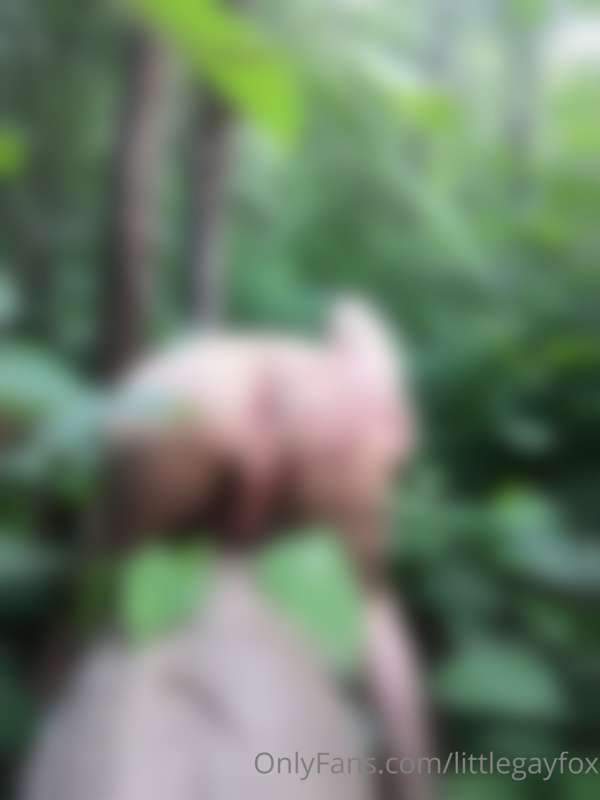user7694 image #1