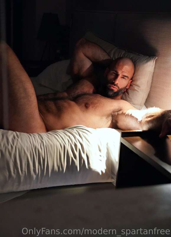 modern_spartanfree
