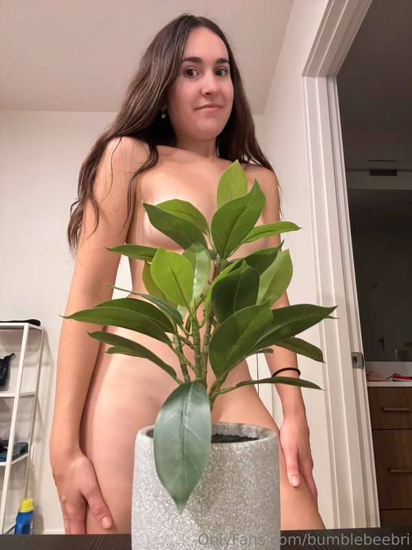 bumblebeebri