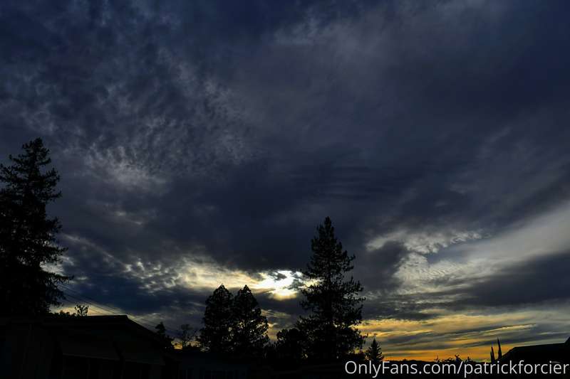 patrickforcier image #22