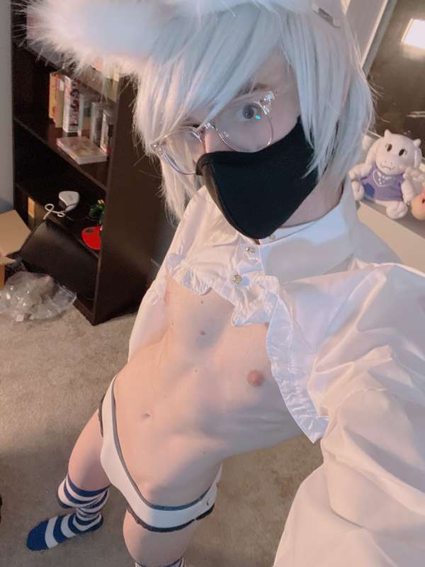 catboiaoi image #0
