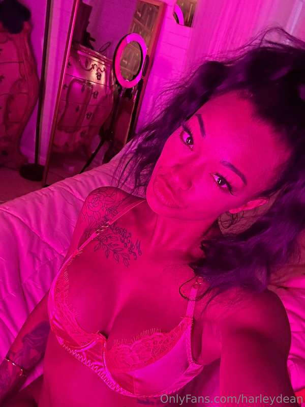 Harley Dean 在 Tocromo 的第 525 張照片