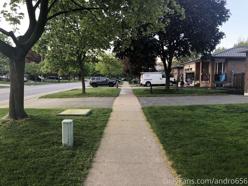 andro656 image #2