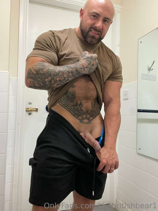 thebritishbear1