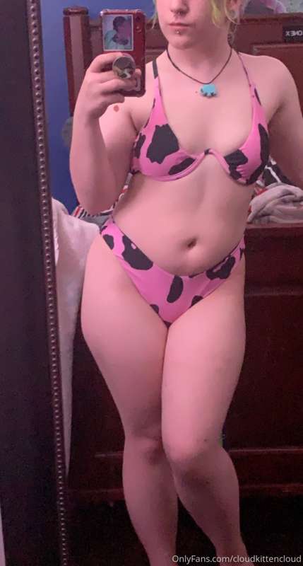 cloudkittencloud image #2