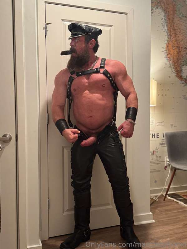 marcostallionxl