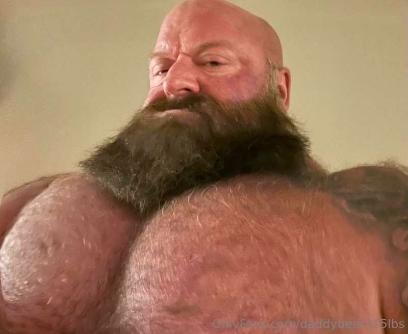 daddybear315lbs