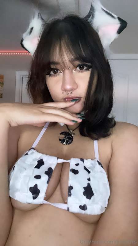 moomoo🐄