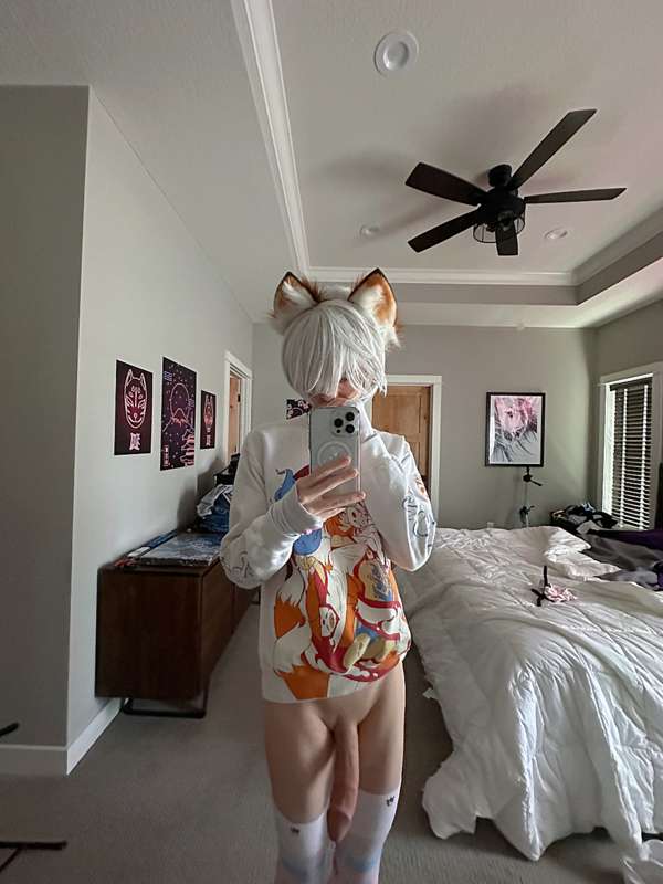 catboiaoi image #4