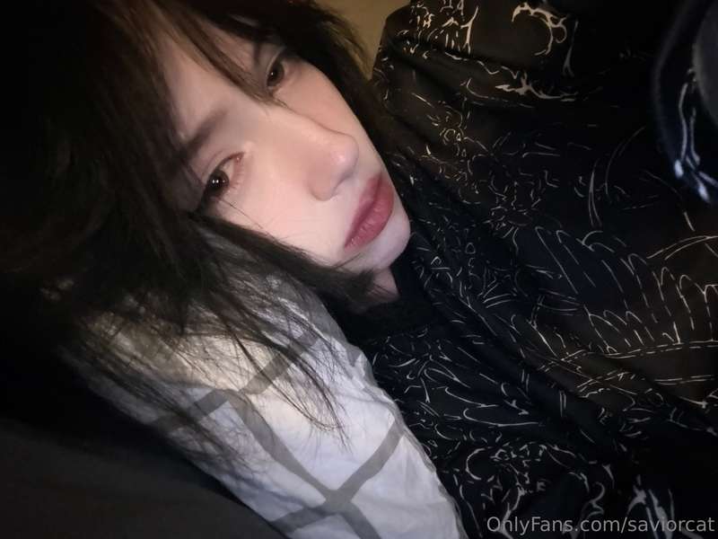 saviorcat