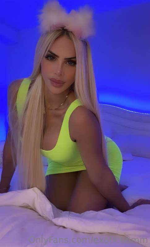 exoticbomm