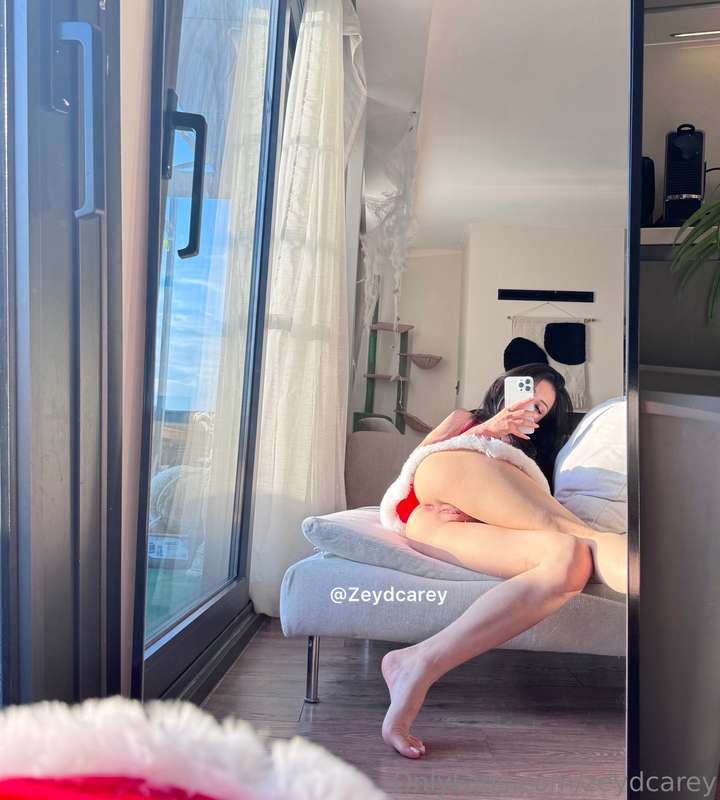 zeydcarey