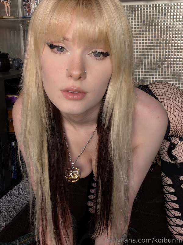 bunnicrypt image #1