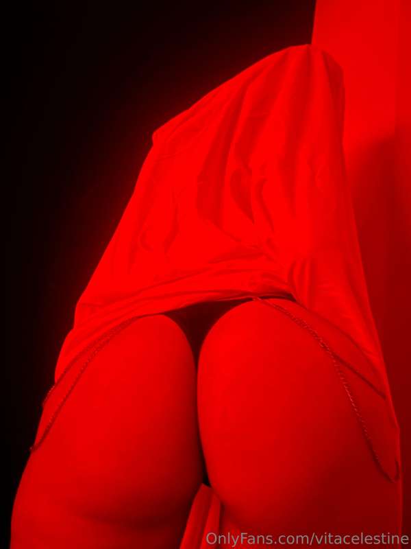 vitacelestine photo