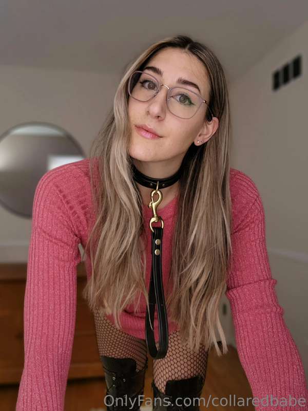 collaredbabe image #1